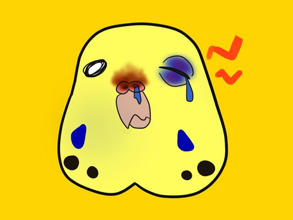顔(頭、くちばし、ロウマク、目)