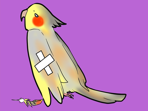 はね（羽・羽根）