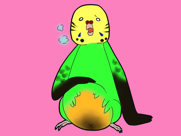お腹