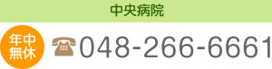 中央病院 年中無休 048-266-6661