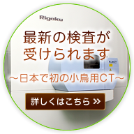 最新の検査 ~日本で初の小鳥用CT~ 詳しくはこちら