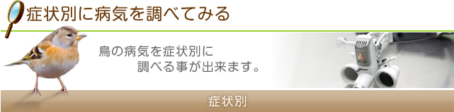 症状別に病気を調べてみる 鳥の病気を症状別に調べる事が出来ます。